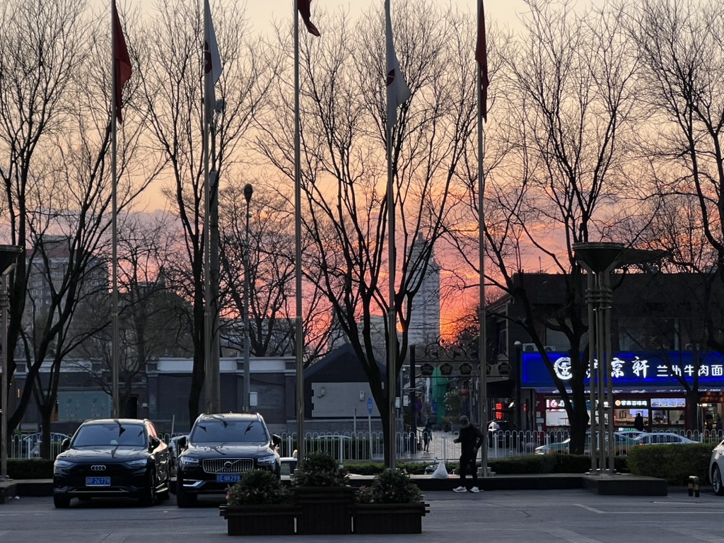 04E41025-EB63-4D44-8FDF-D6B4114C6049_1_105_c.jpeg
