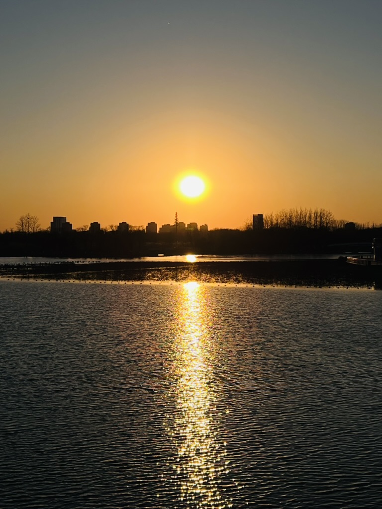 0D1367B6-1D19-4397-A247-7619D3E571D3_1_105_c.jpeg