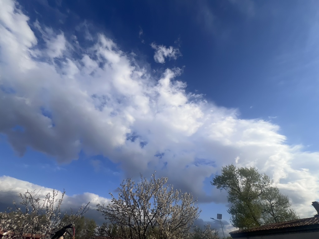 730D4990-C1DA-4153-B300-8D8906FD7213_1_105_c.jpeg
